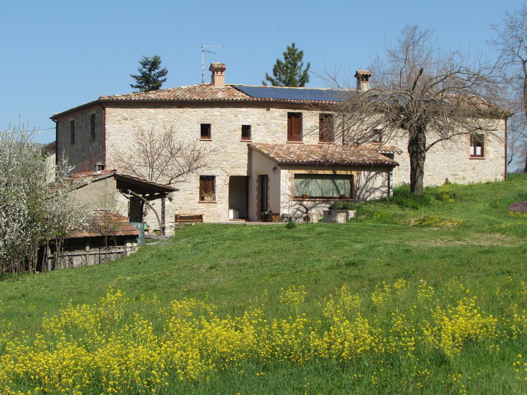 Il Gelso Room&Breakfast Pennabilli Extérieur photo