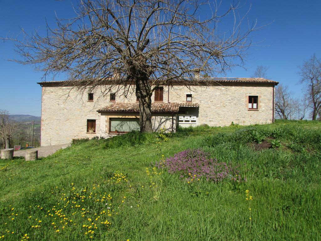 Il Gelso Room&Breakfast Pennabilli Extérieur photo